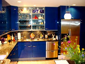 Blue Kitchen Big New Trends in Kitchen Design 2009. blue Kitchen