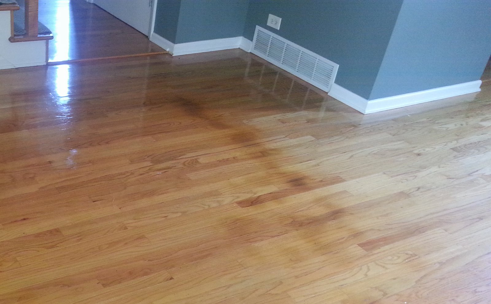 Repairing water damaged hardwood floors Mr. Floor Chicago
