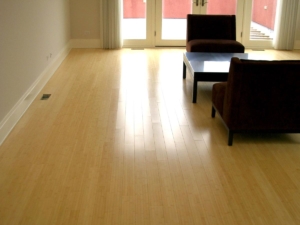 Bamboo Flooring