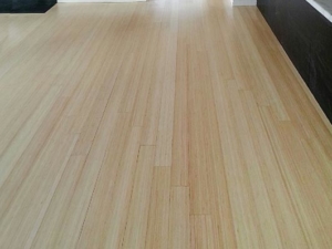 Light Bamboo Flooring