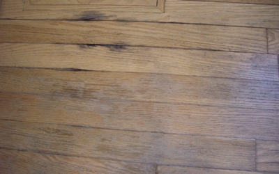water-damaged-wood-floor-02-1200w