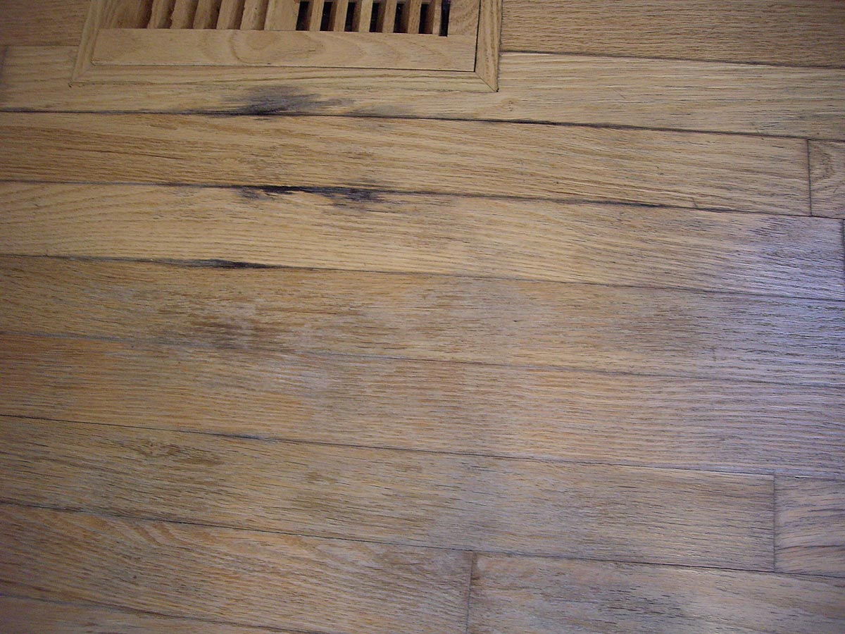 water-damaged-wood-floor-02-1200w1.jpg