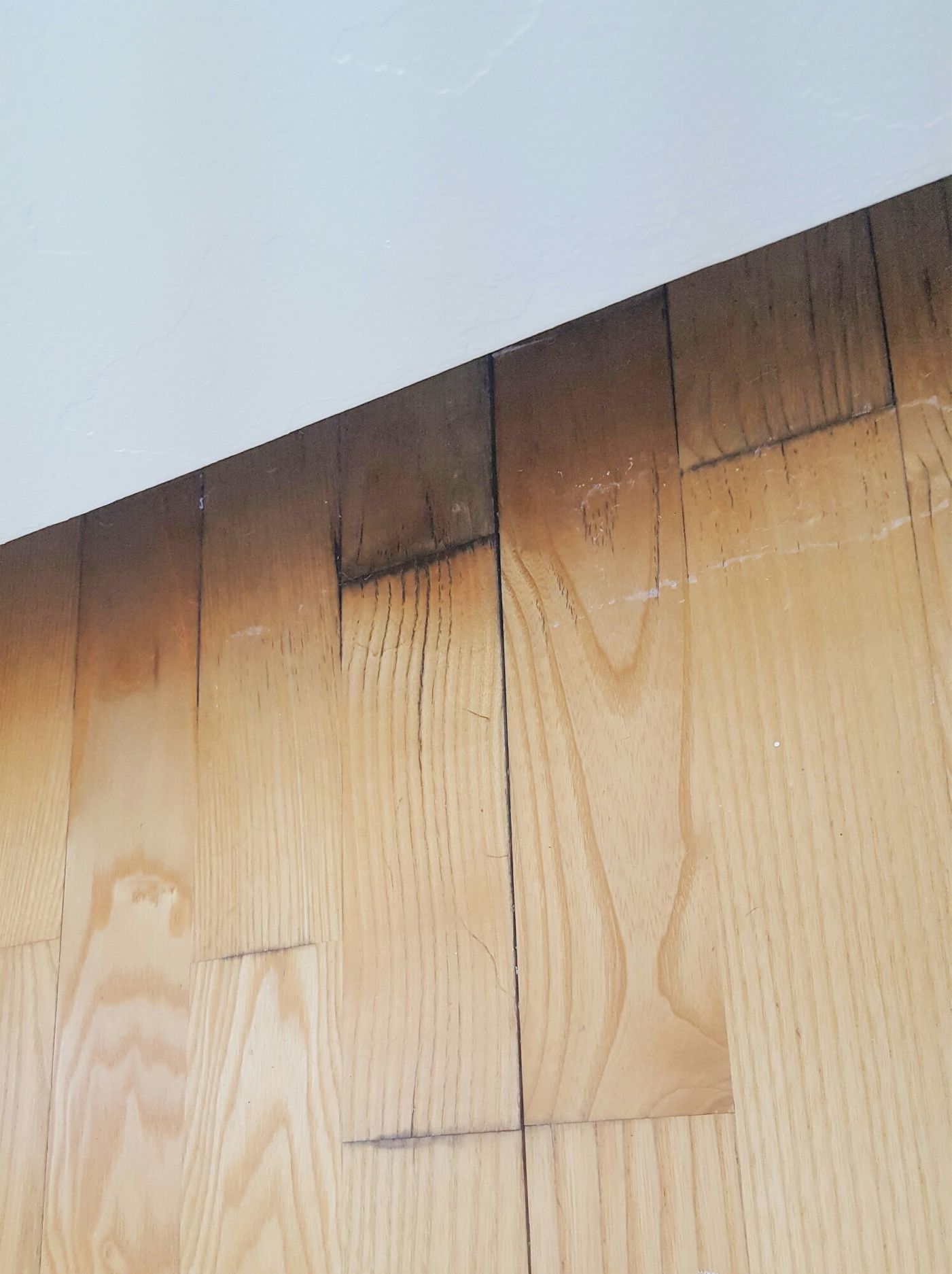 Hardwood Floor Water Damage hardwood floor repair in boise and the treasure valley Where Did The Water Hardwood Floor Water Damage hardwood floor water damage repairs palo alto Where Did The Water