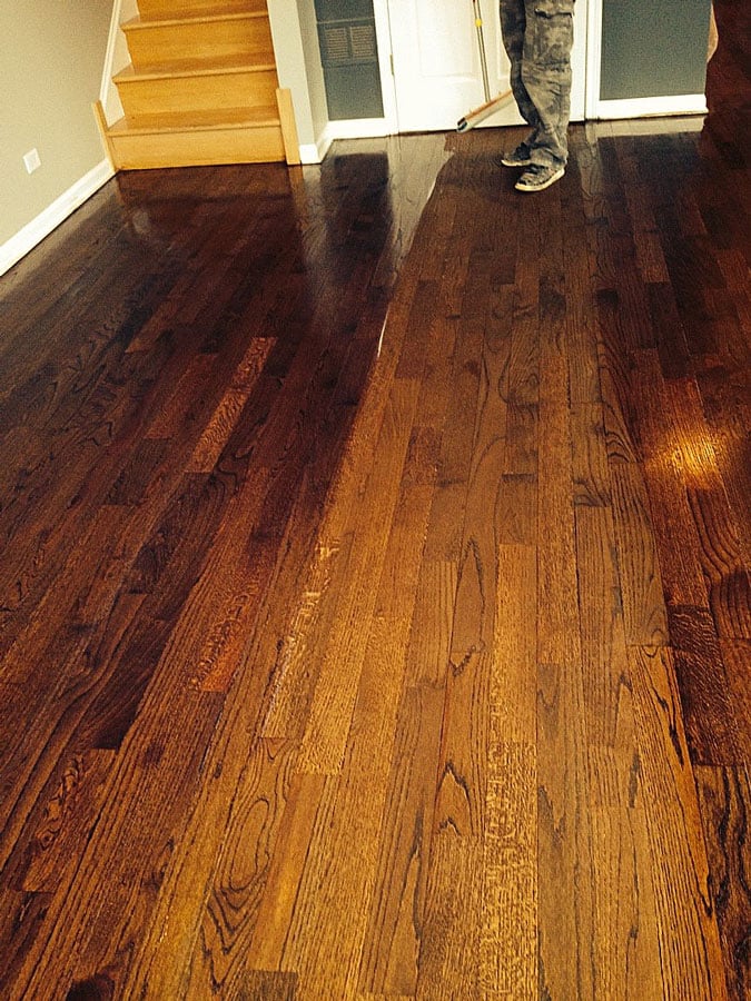 Gallery Of Hardwood Flooring Species Mr Floor Companies Chicago Il
